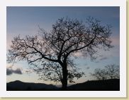 2005-11-05 17-08-18 Novembre 55,4mm 1_128_eme F4,0 * 2560 x 1920 * (2.6MB)